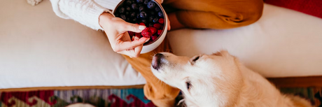 Alimentazione autunnale: integratori e nutrienti essenziali per il tuo cane