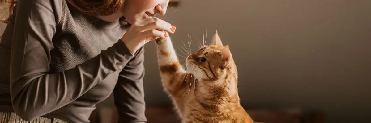 Prevenzione parassiti nel gatto: proteggere il tuo micio, naturalmente