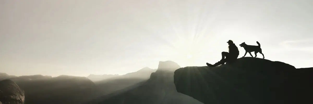 Dove portare il cane in montagna