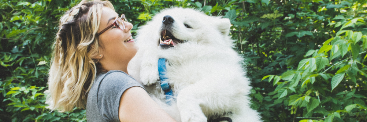 Consigli adozione cane