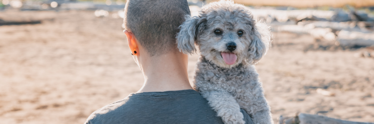 Razze cani per chi non ha esperienza