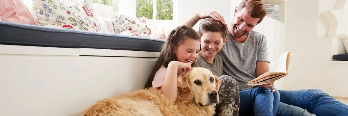 Vacanze e viaggi con il cane: perché quasi metà degli italiani rinuncia