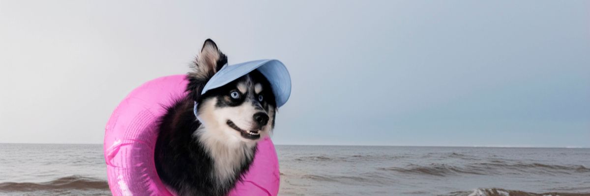 Andare in vacanza al mare con il cane