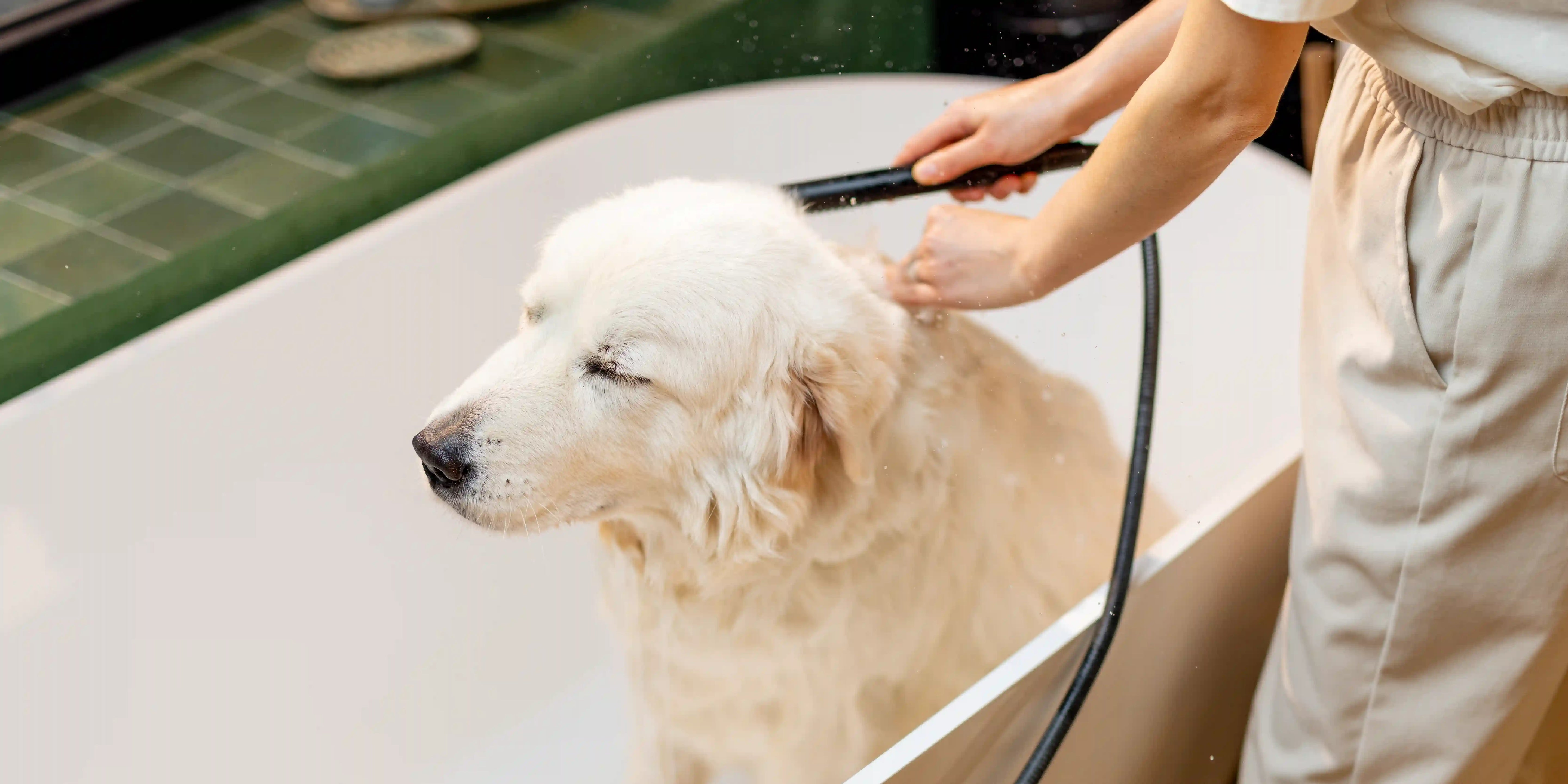 Shampoo e Balsamo per cani