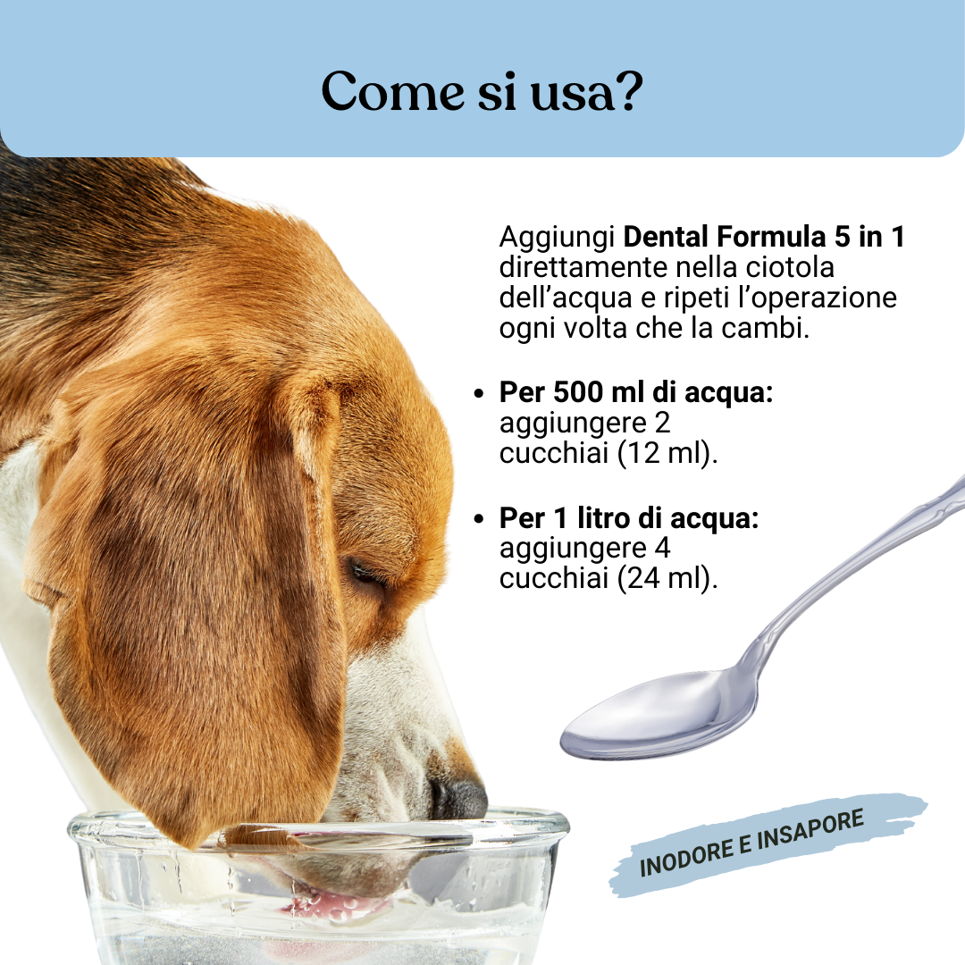 Dental Formula 5 in 1