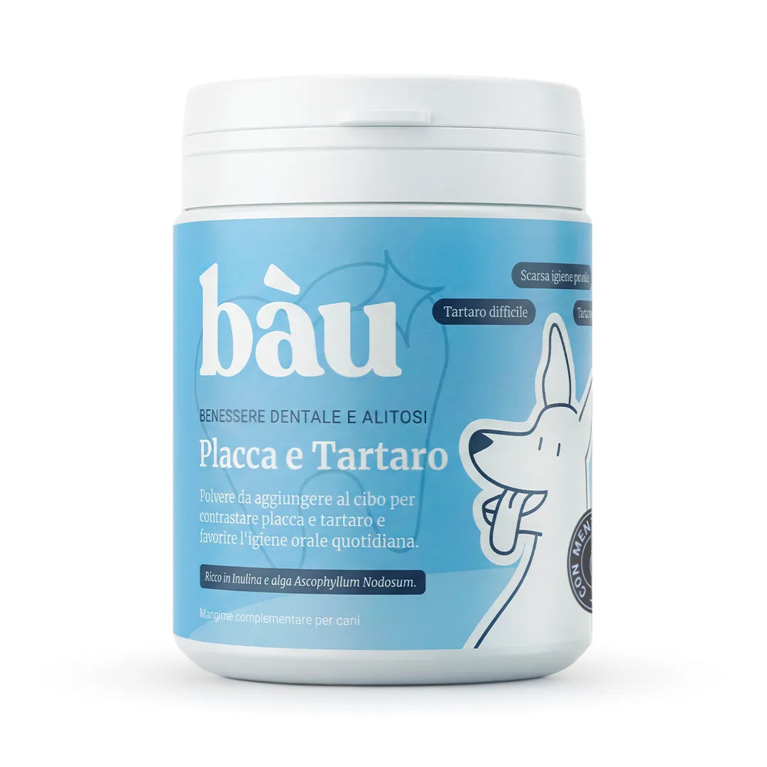 Controllo Placca & Tartaro