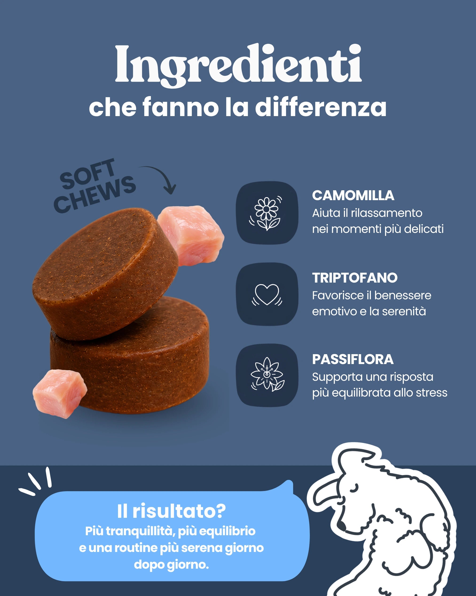 Coccole di Relax