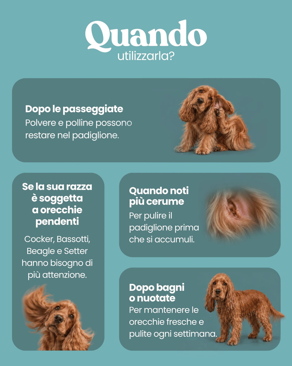 Lozione detergente per le orecchie