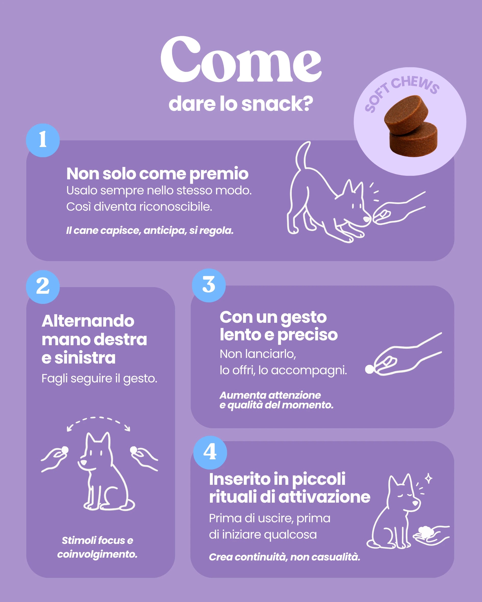Pancia Felice