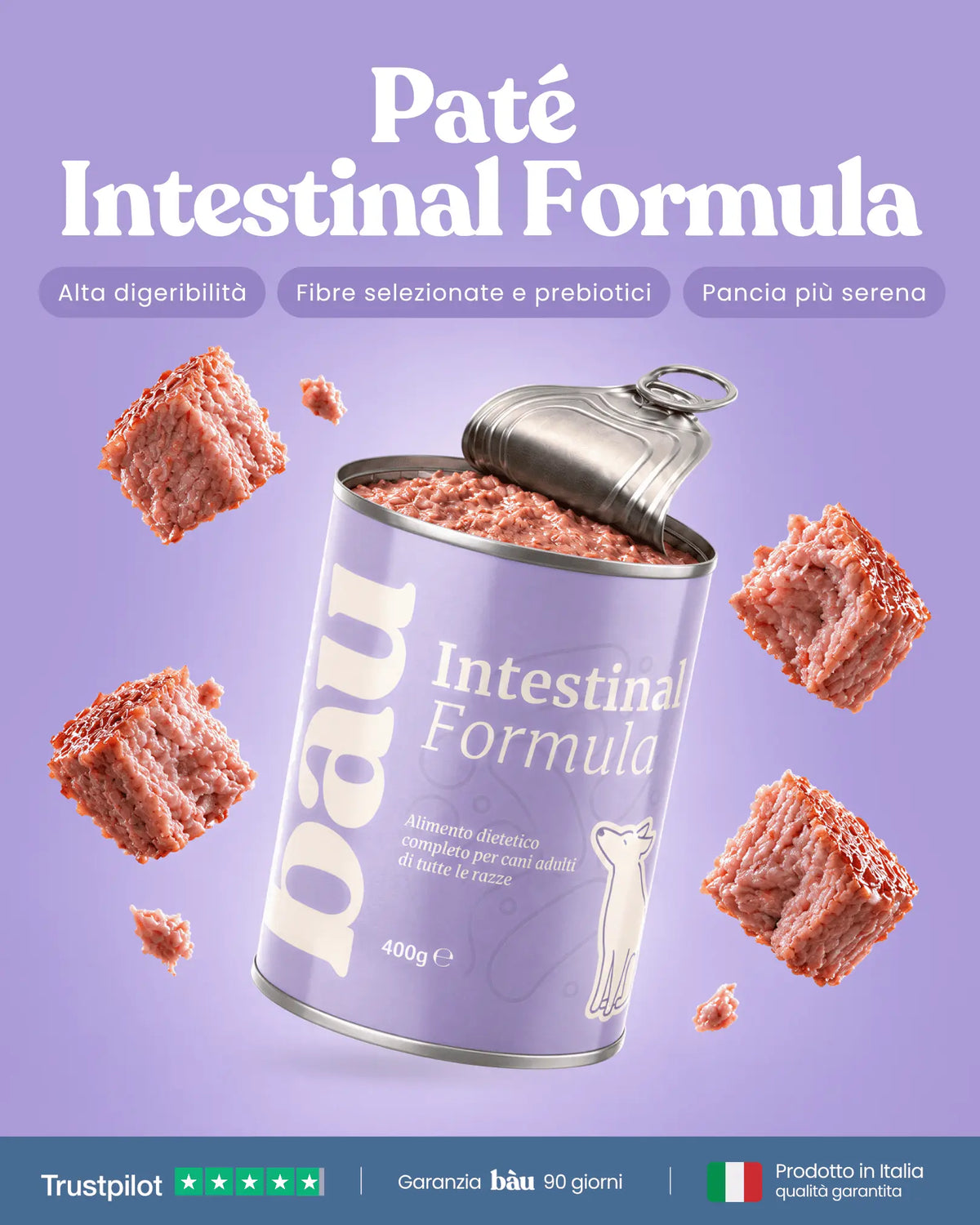 Patè Intestinal Formula per cani adulti