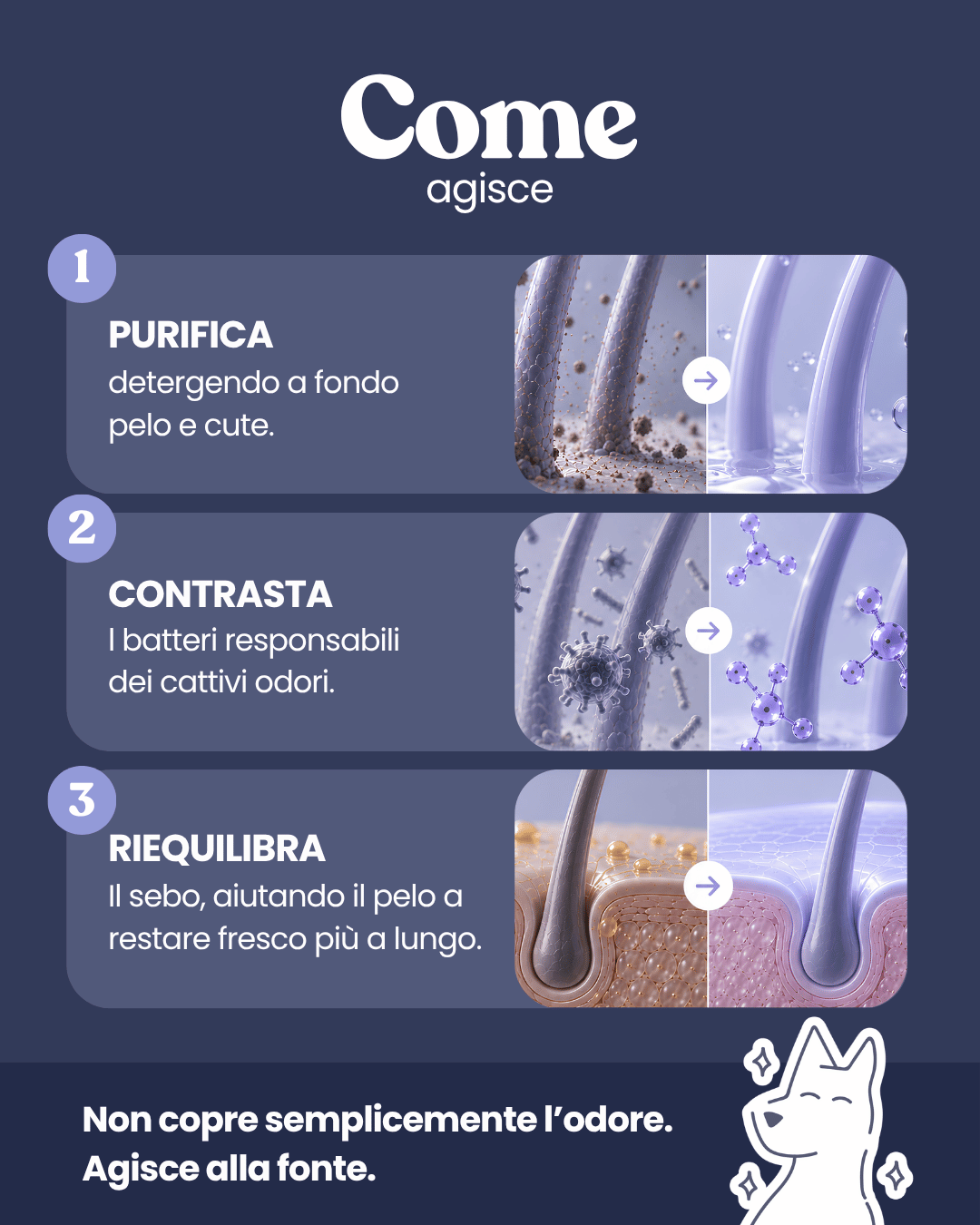 Shampoo Controllo Odore