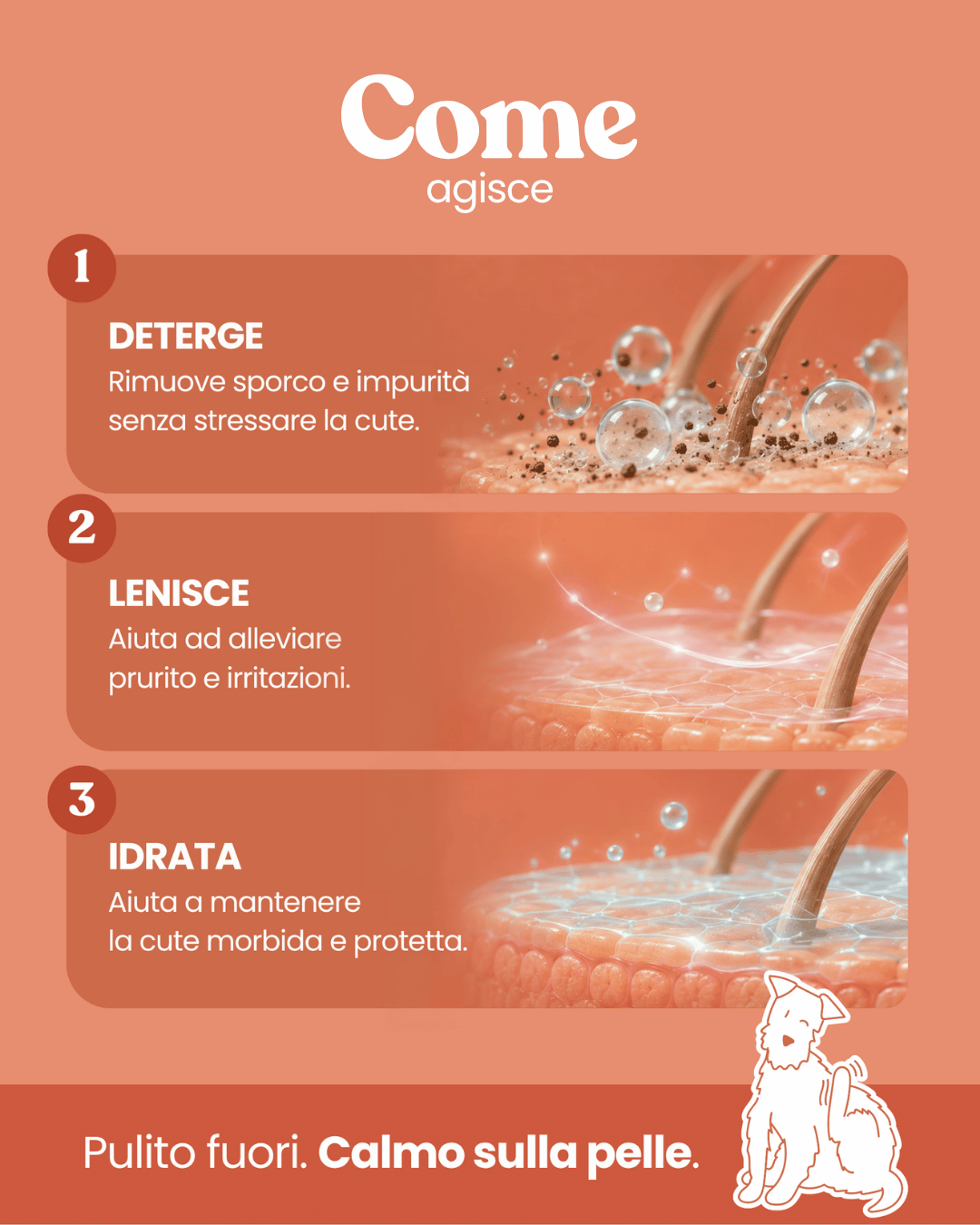 Shampoo Lenitivo