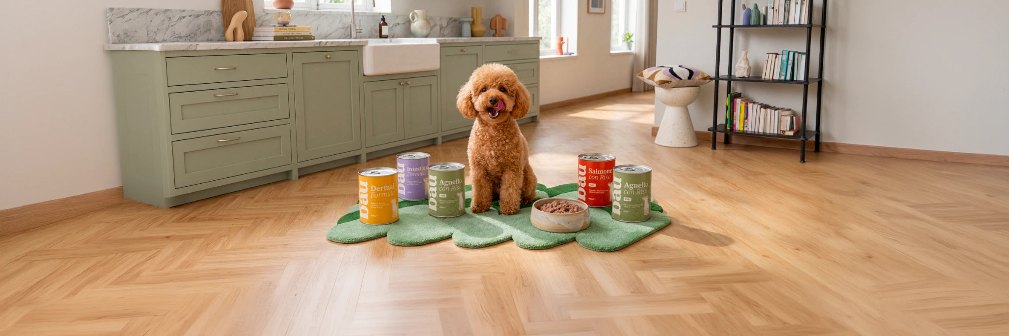 Cibo umido per cani