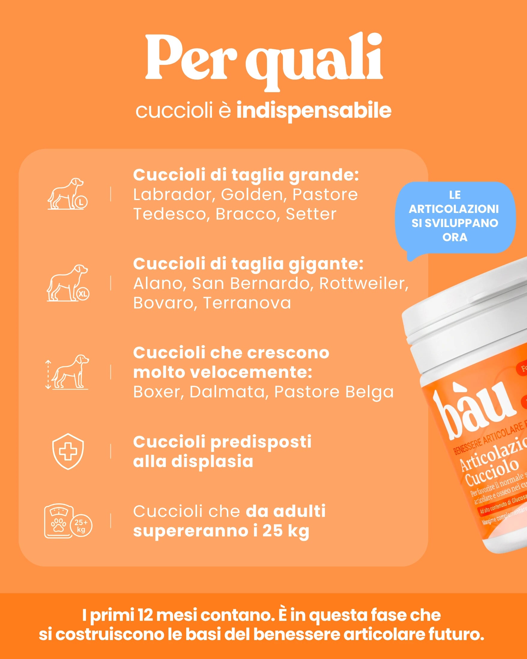 Articolazioni Cucciolo