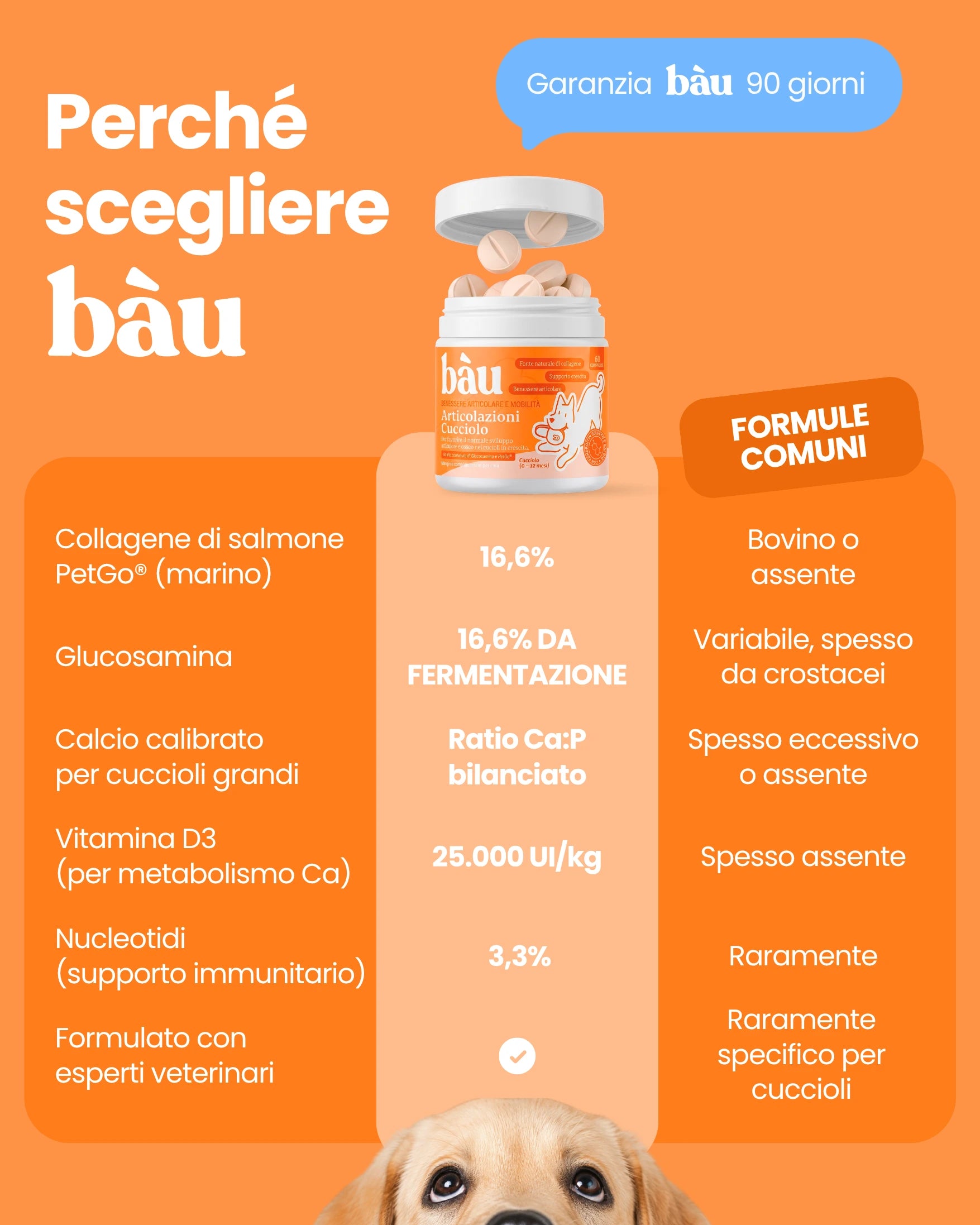 Articolazioni Cucciolo