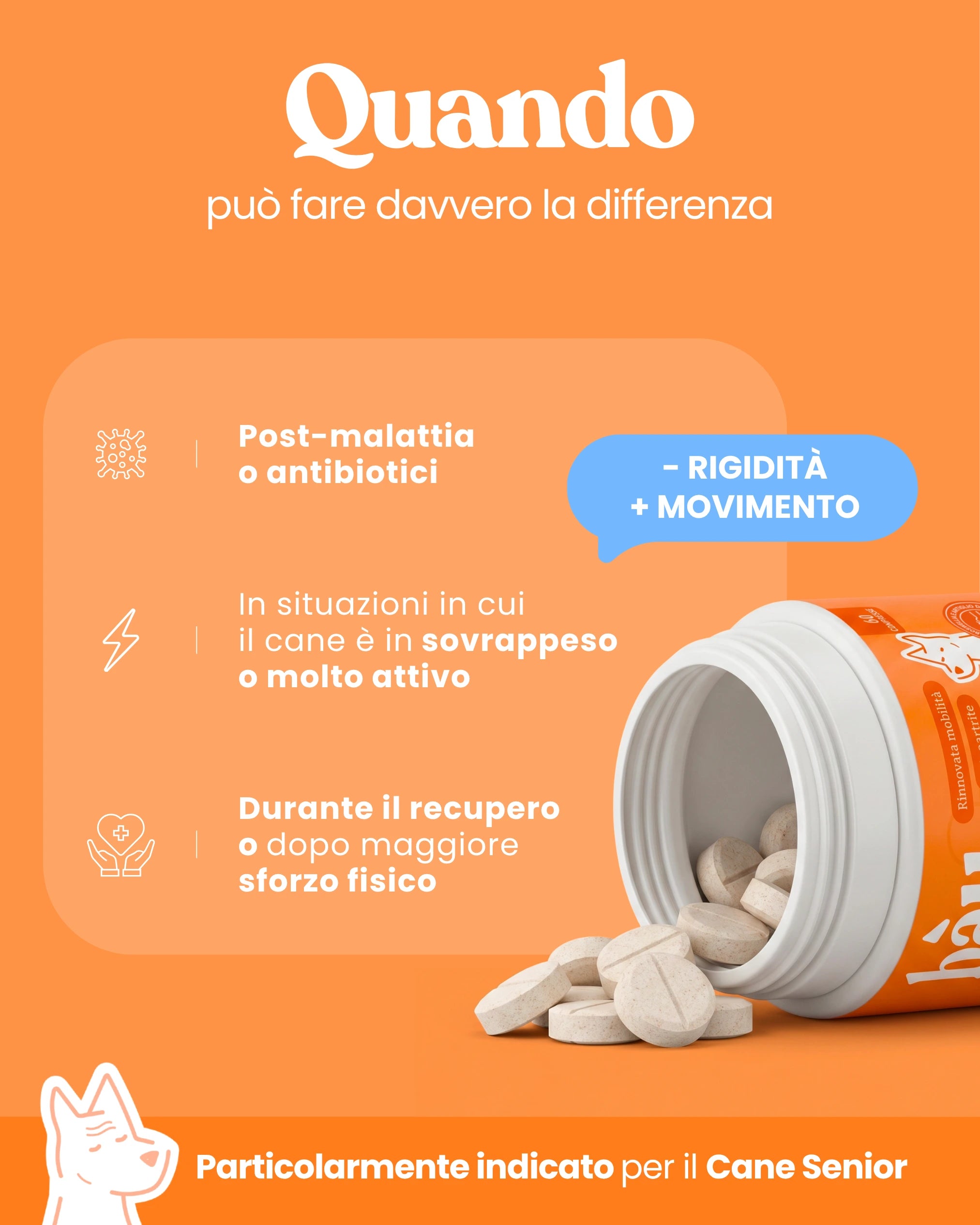 Comfort Osteoartrite