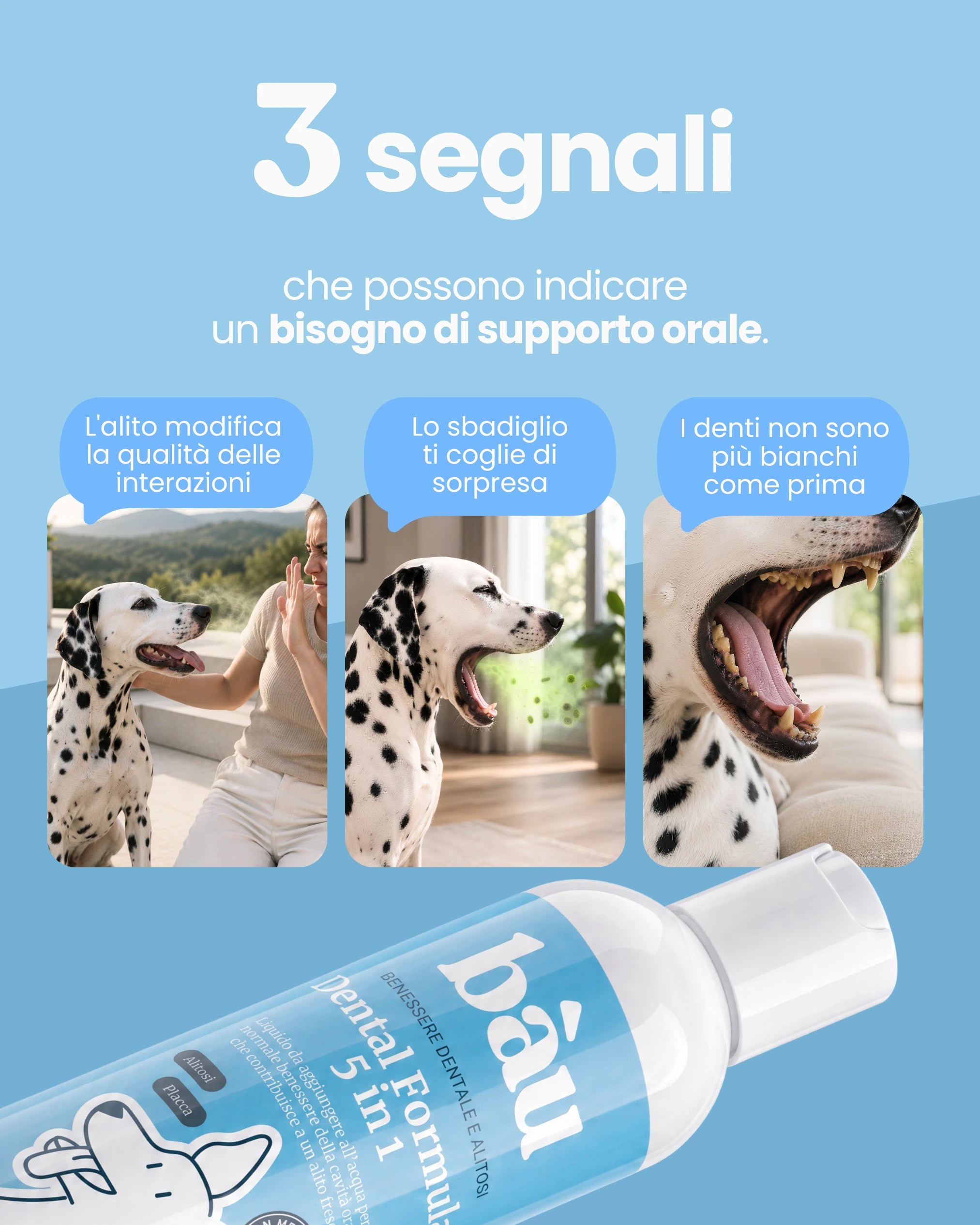 Dental Formula 5 in 1