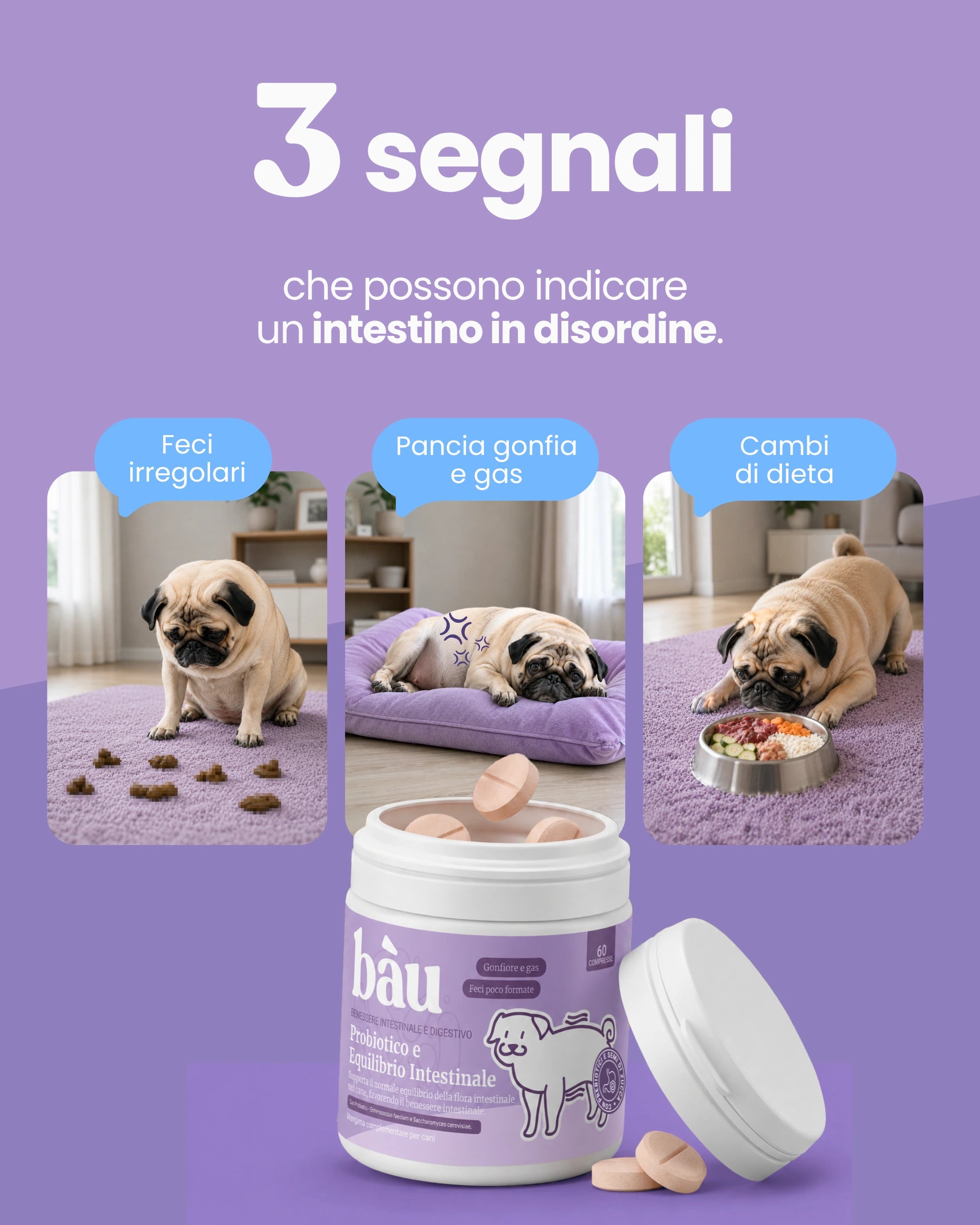 Probiotico e Equilibrio intestinale