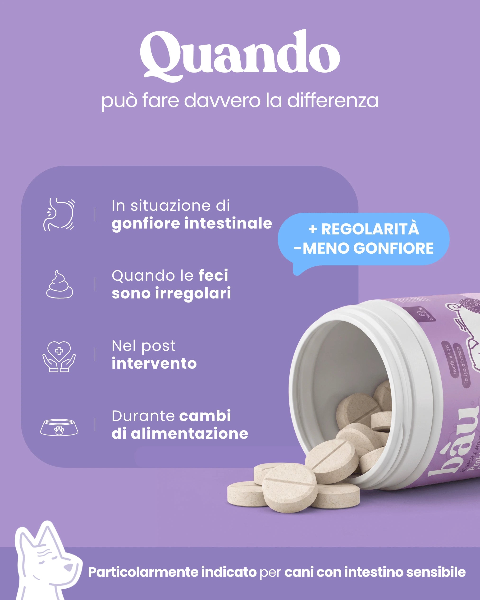 Probiotico e Equilibrio intestinale