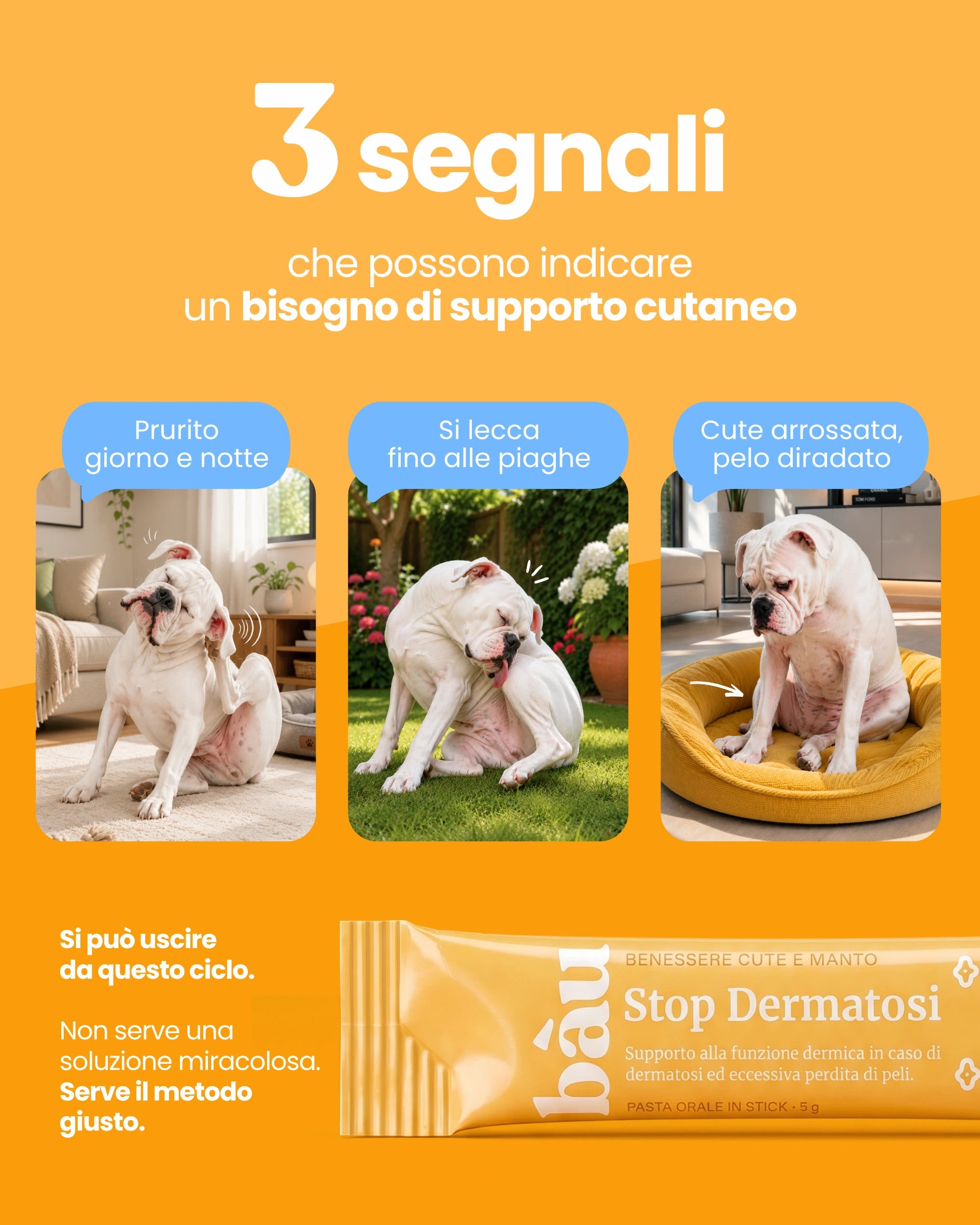 Stop Dermatosi