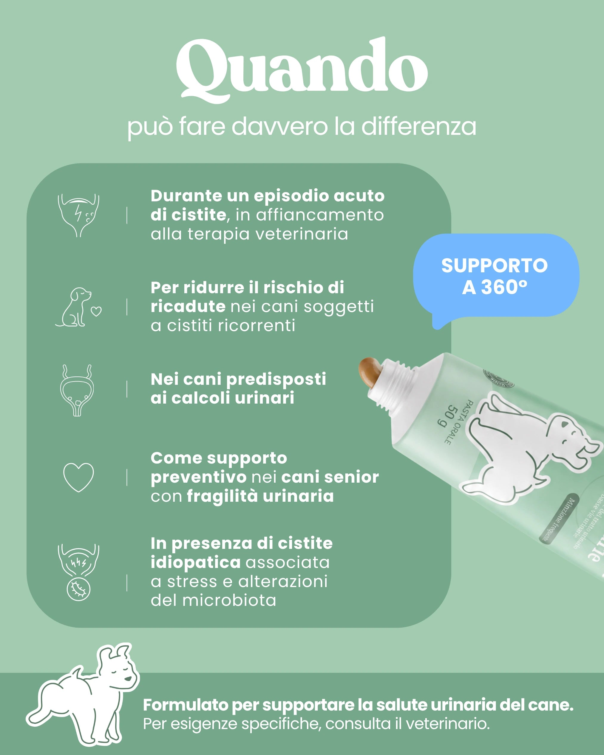 Supporto Basse Vie Urinarie