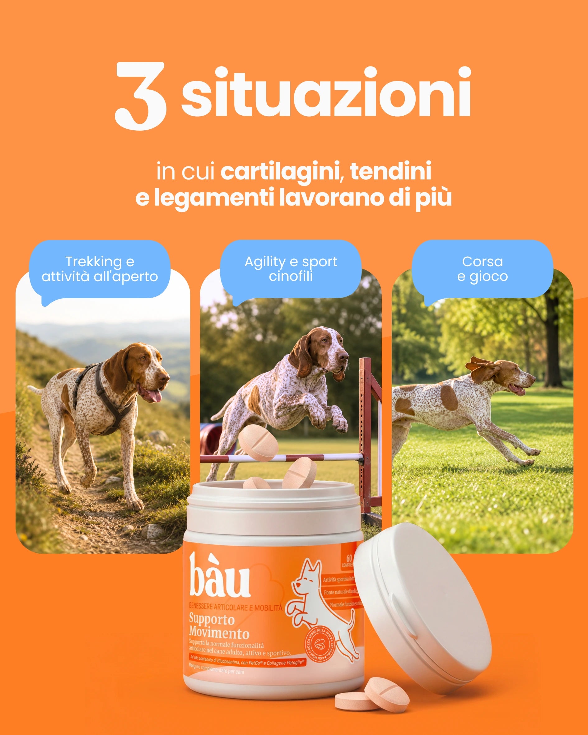 Supporto Movimento
