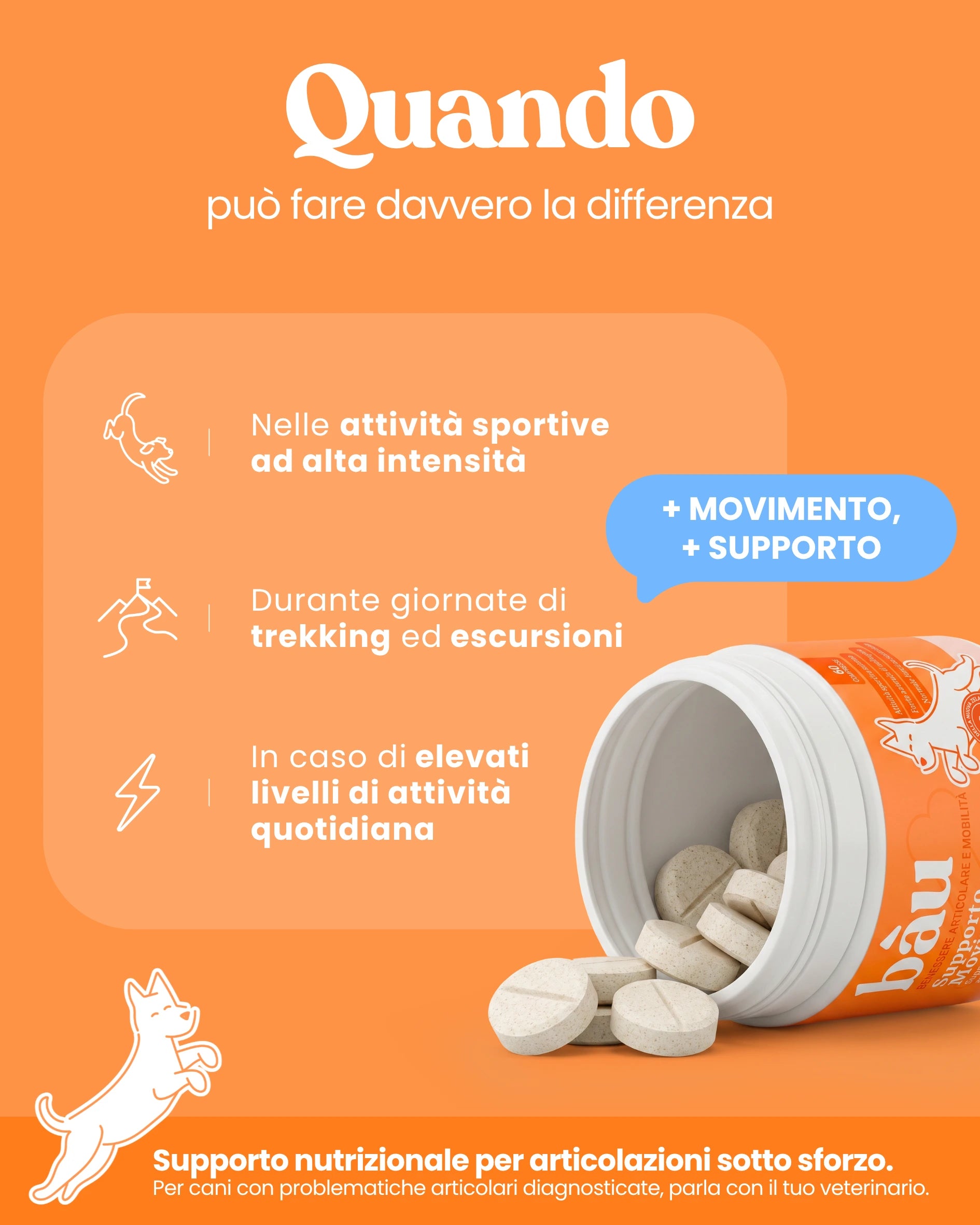 Supporto Movimento