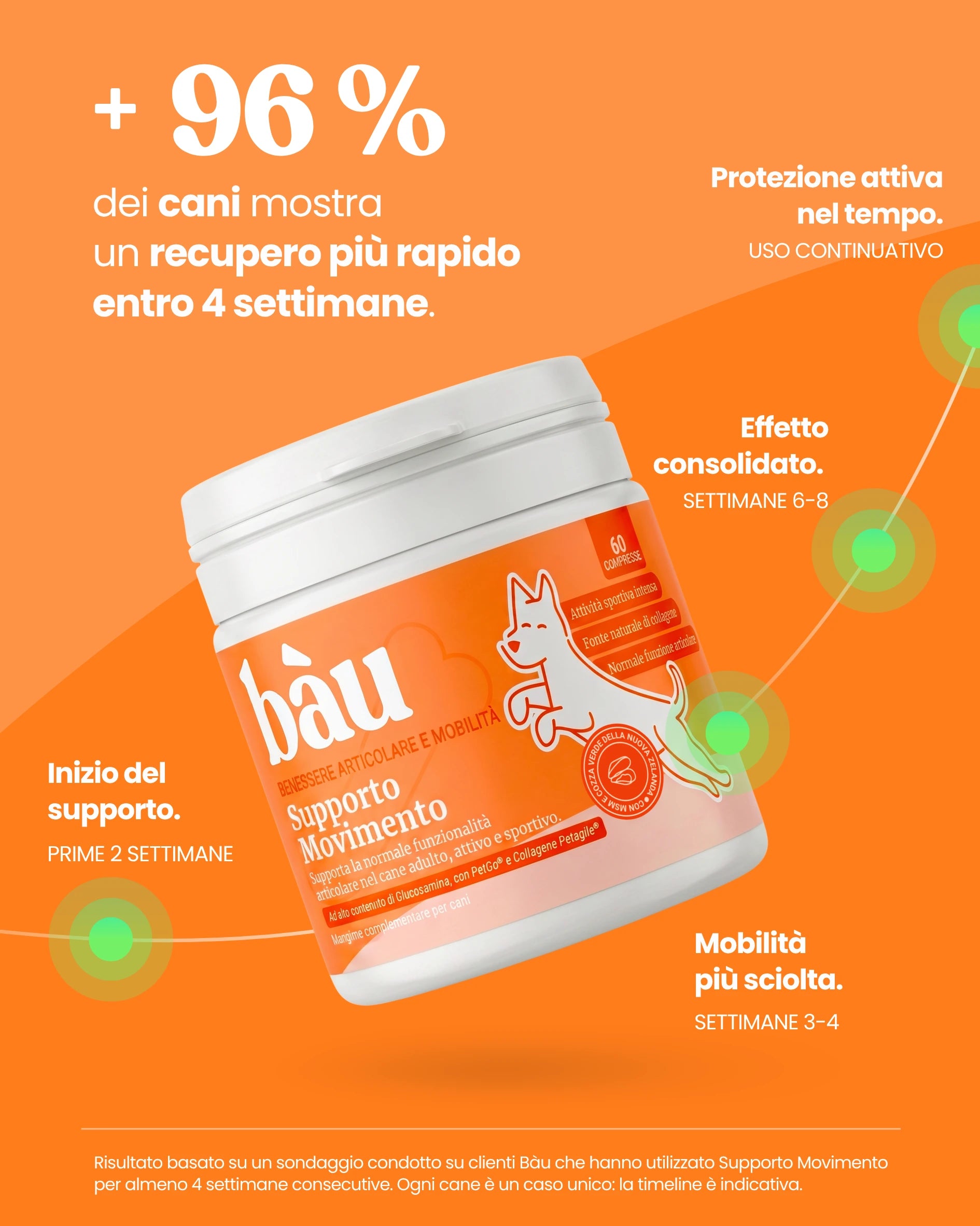 Supporto Movimento