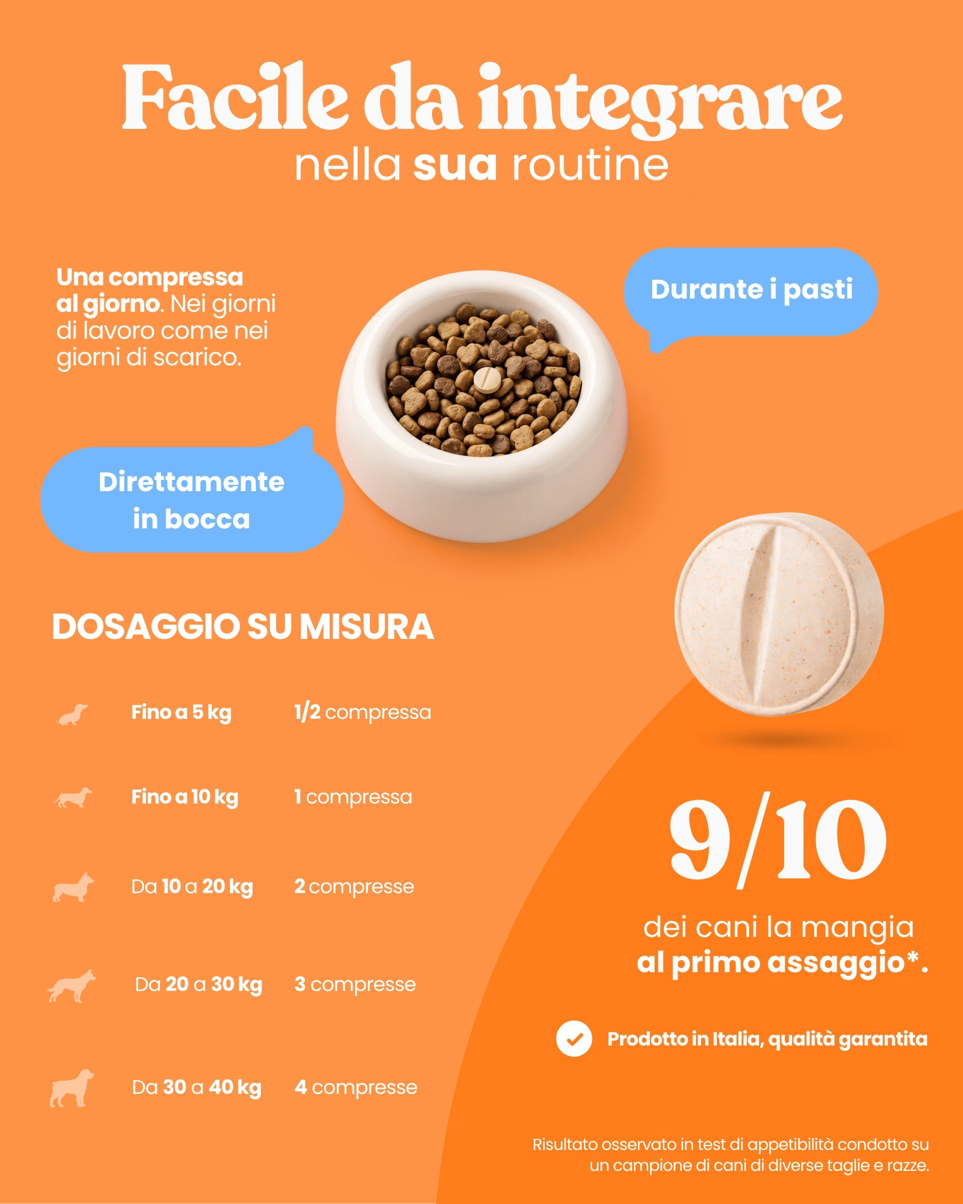Supporto Movimento