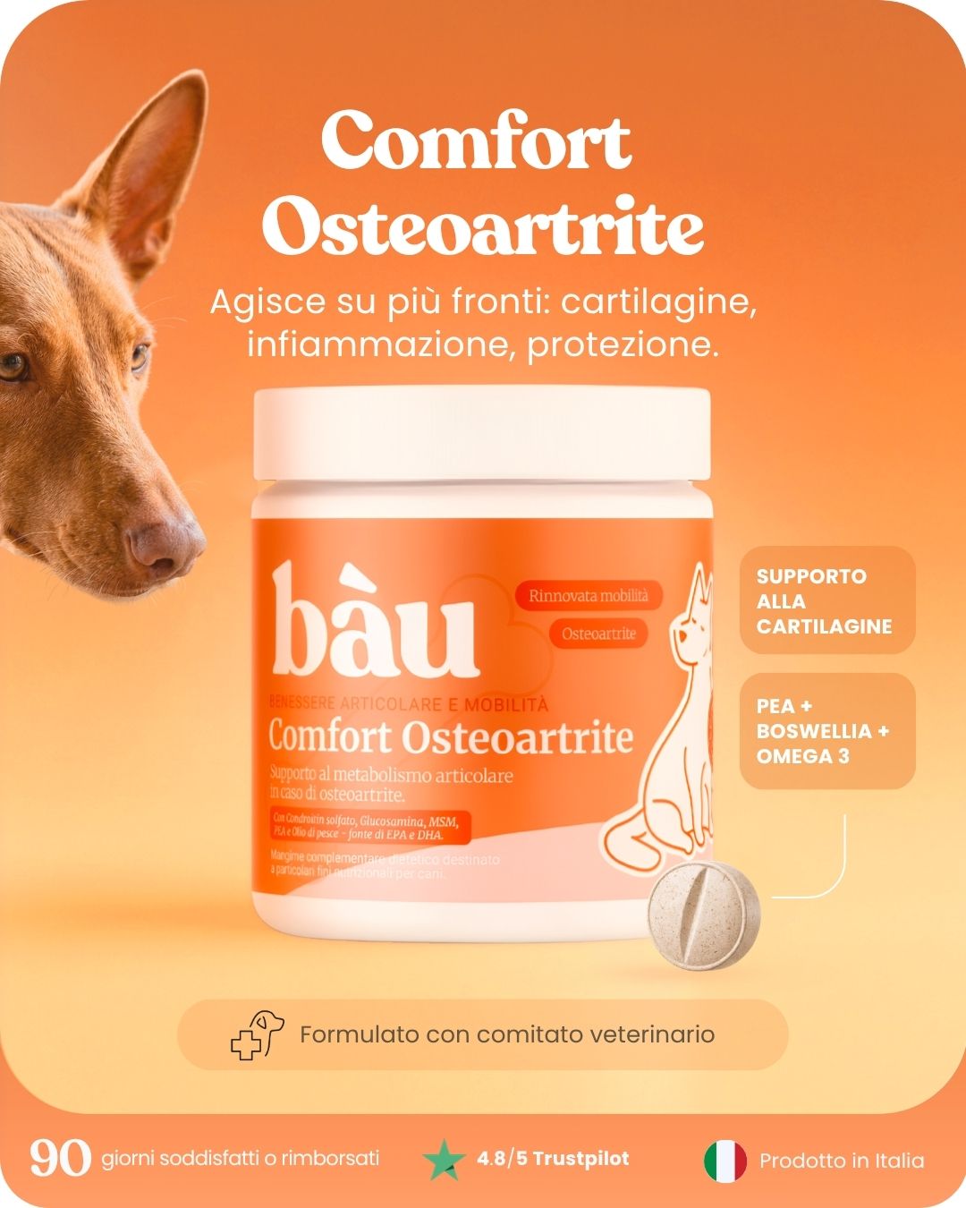 Comfort Osteoartrite