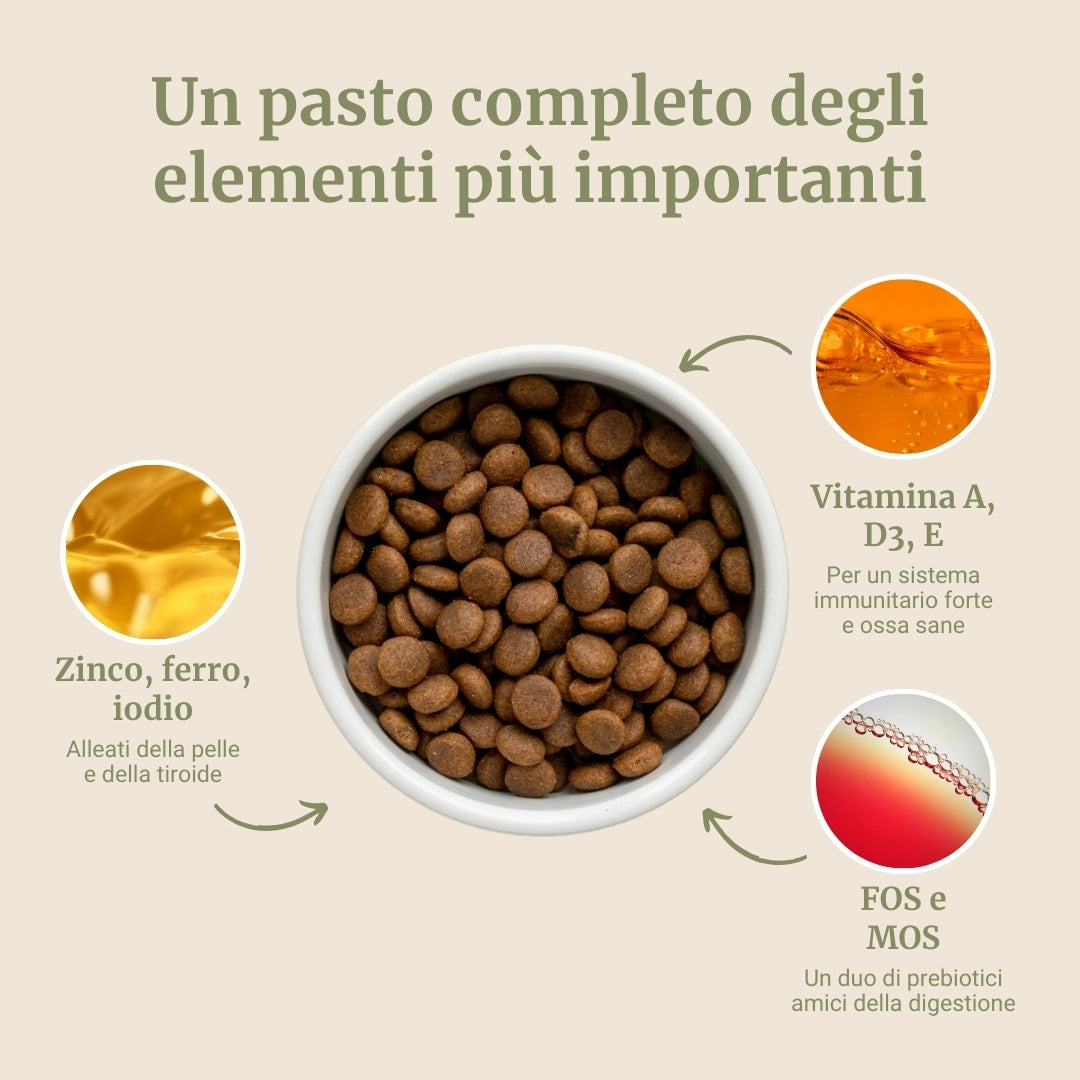 Crocchette con Agnello, Patate Dolci e Menta per cani adulti di taglia media