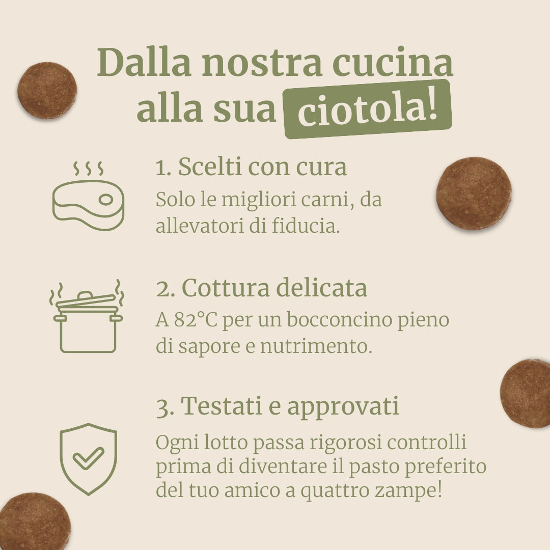 Crocchette con Agnello, Patate Dolci e Menta per cani adulti di taglia media