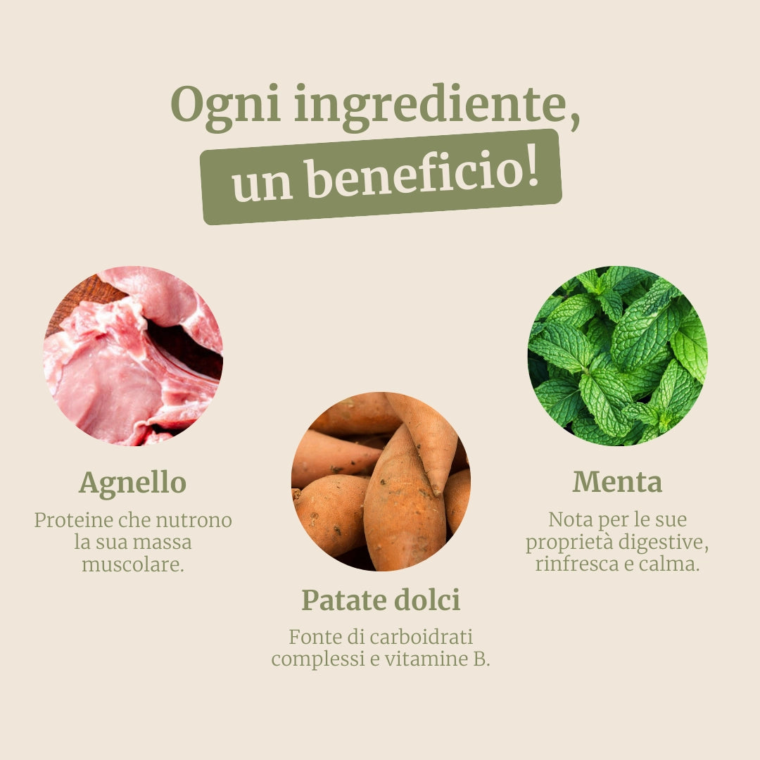 Crocchette con Agnello, Patate Dolci e Menta per cani adulti di taglia piccola