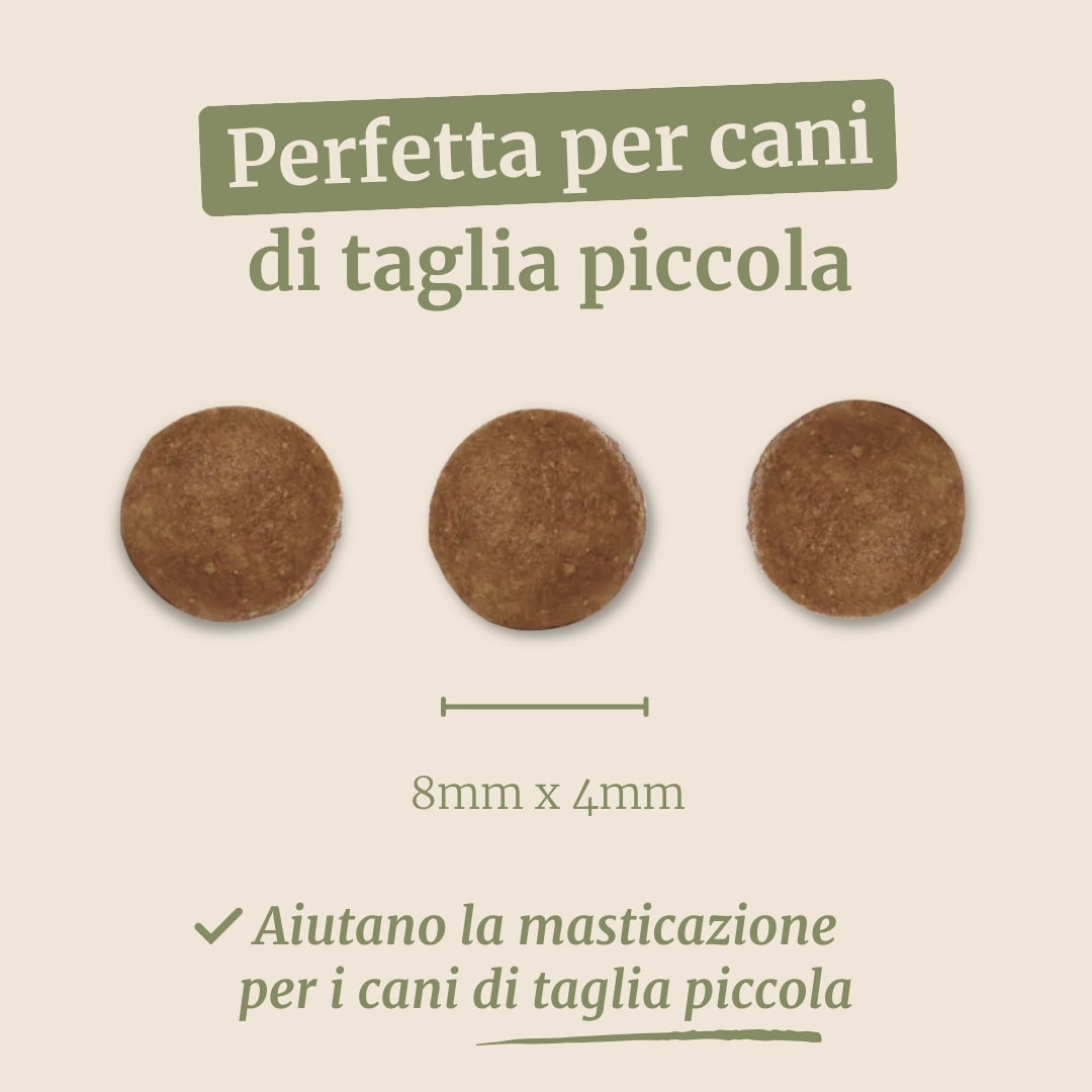 Crocchette con Agnello, Patate Dolci e Menta per cani adulti di taglia piccola