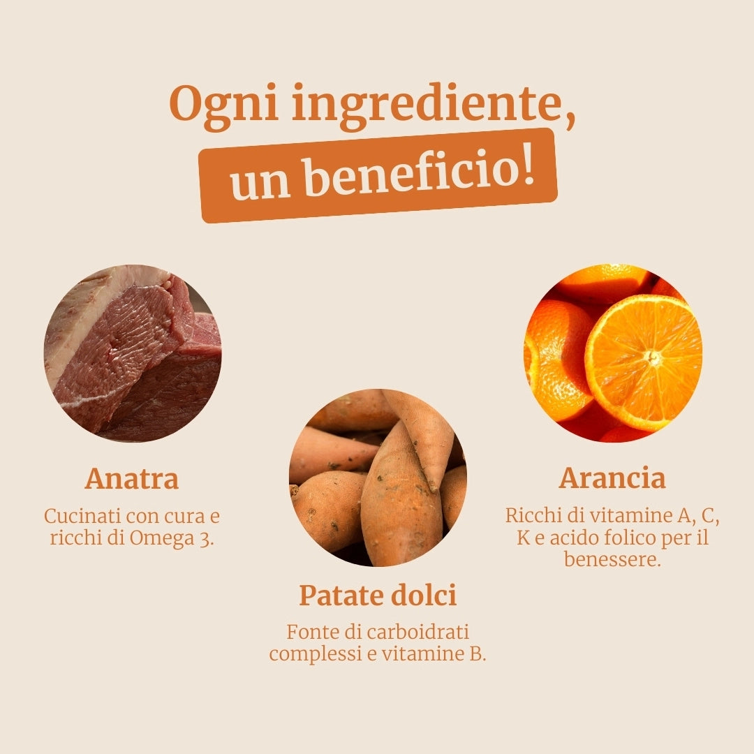 Crocchette con Anatra, Patate dolci e Arancia per cani adulti di taglia piccola