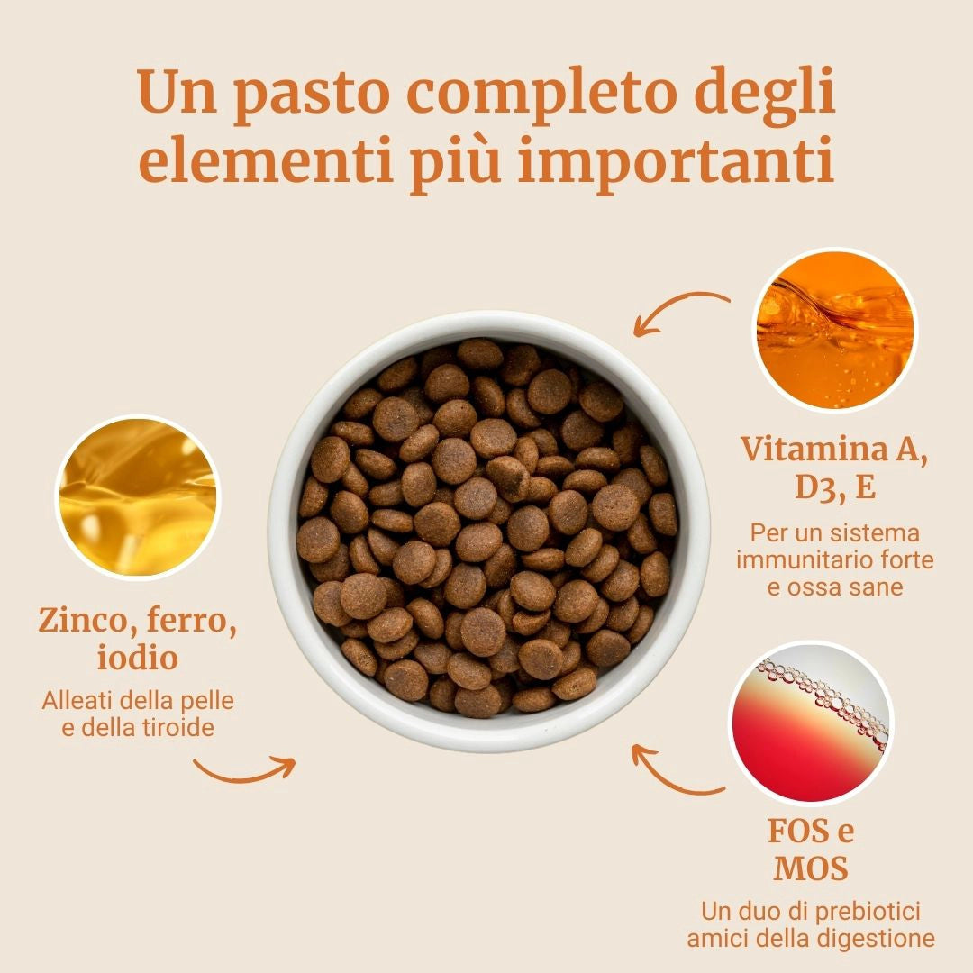 Crocchette con Anatra, Patate dolci e Arancia per cani adulti di taglia piccola