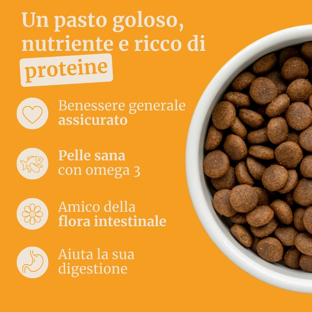 Crocchette con Anatra, Patate dolci e Arancia per cani adulti di taglia piccola