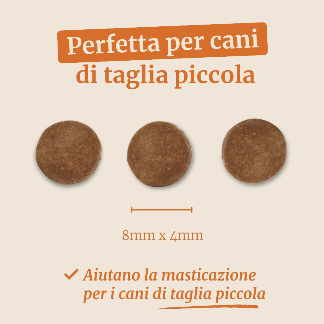 Crocchette con Anatra, Patate dolci e Arancia per cani adulti di taglia piccola