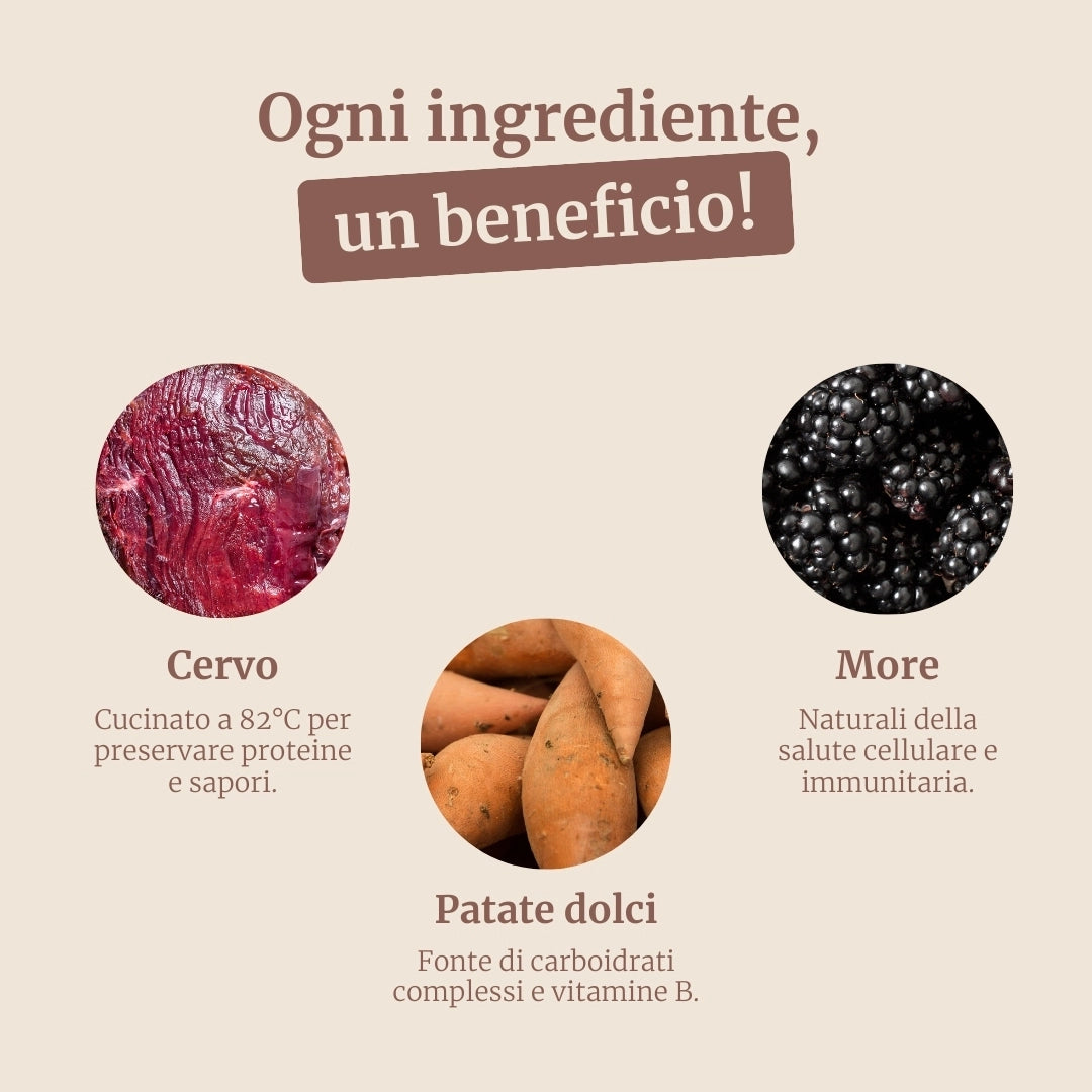 Crocchette con Cervo, Salmone, Patate Dolci e More per cani adulti di taglia media