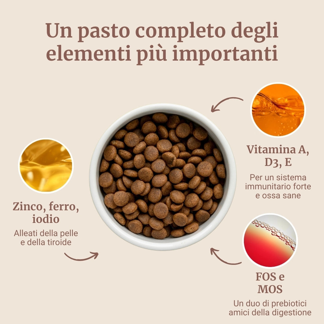 Crocchette con Cervo, Salmone, Patate Dolci e More per cani adulti di taglia media