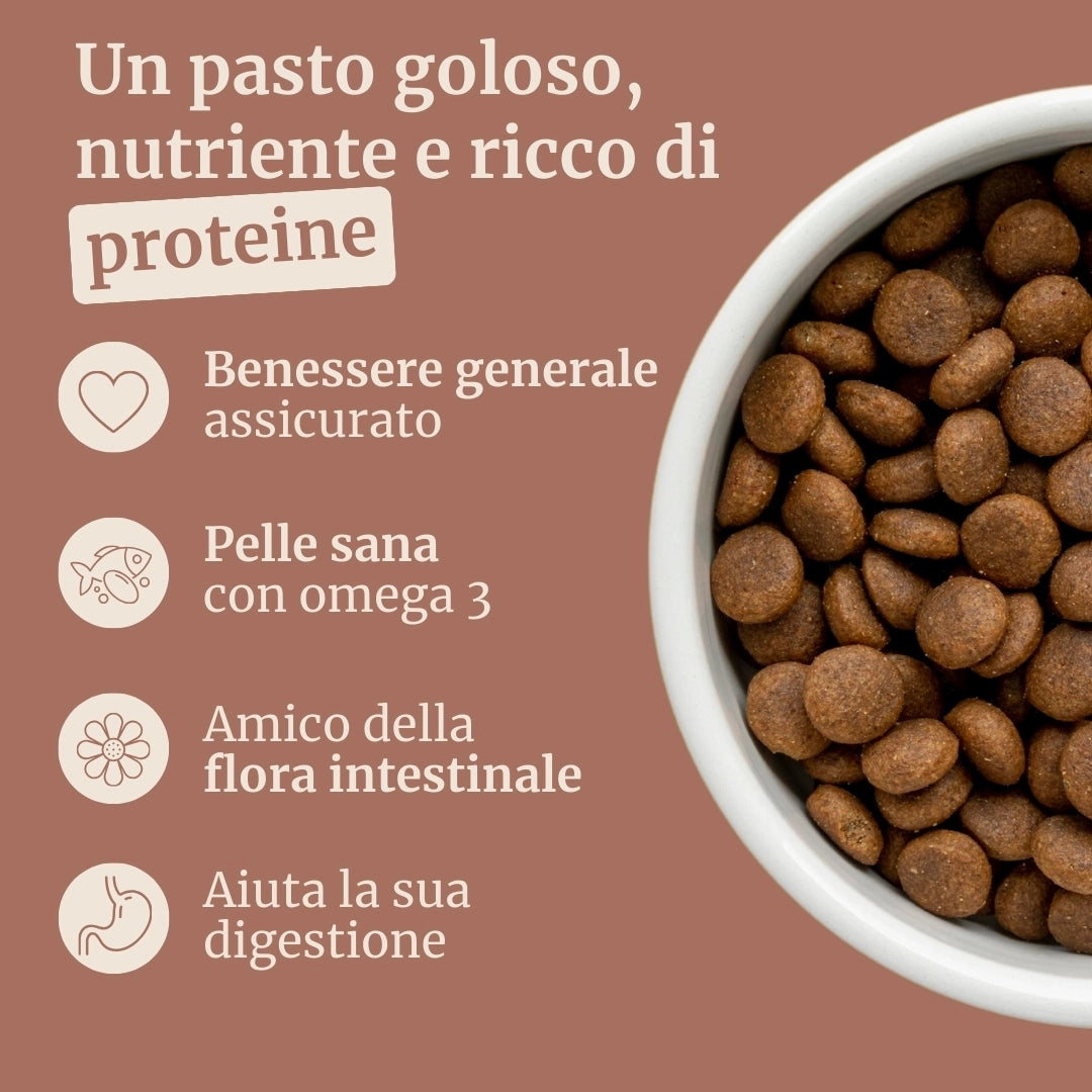 Crocchette con Cervo, Salmone, Patate Dolci e More per cani adulti di taglia media