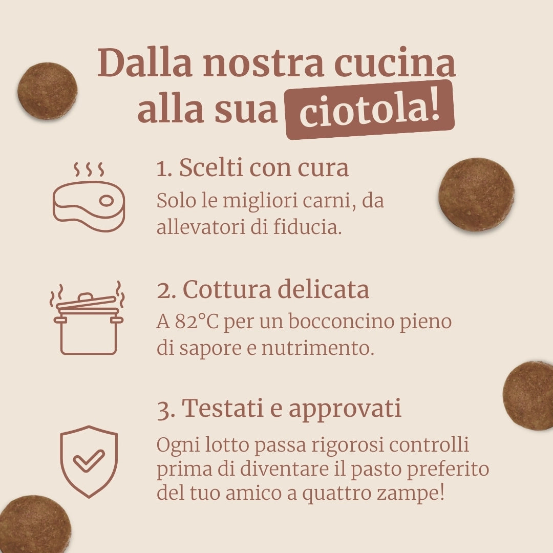 Crocchette con Cervo, Salmone, Patate Dolci e More per cani adulti di taglia media