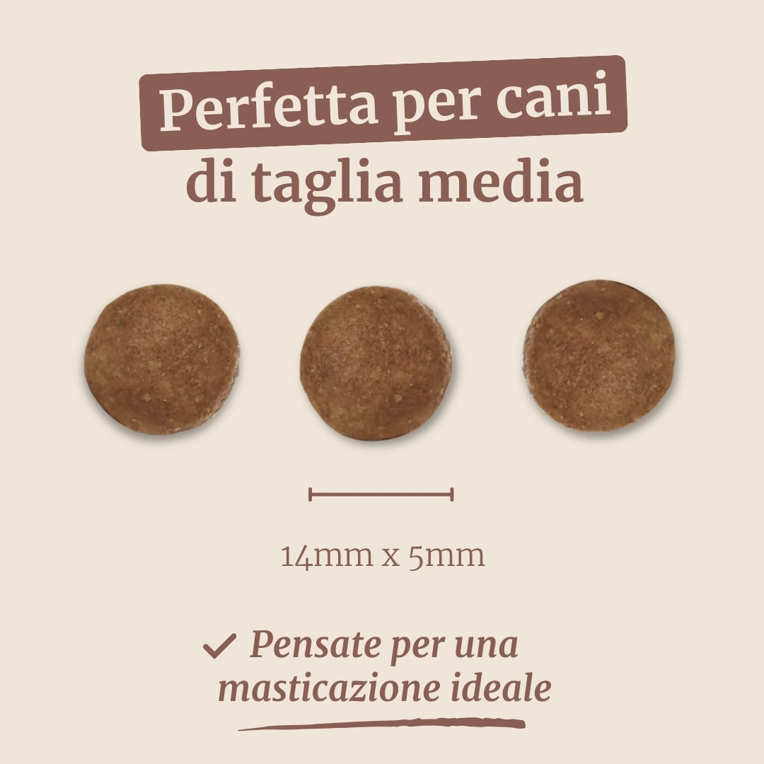 Crocchette con Cervo, Salmone, Patate Dolci e More per cani adulti di taglia media