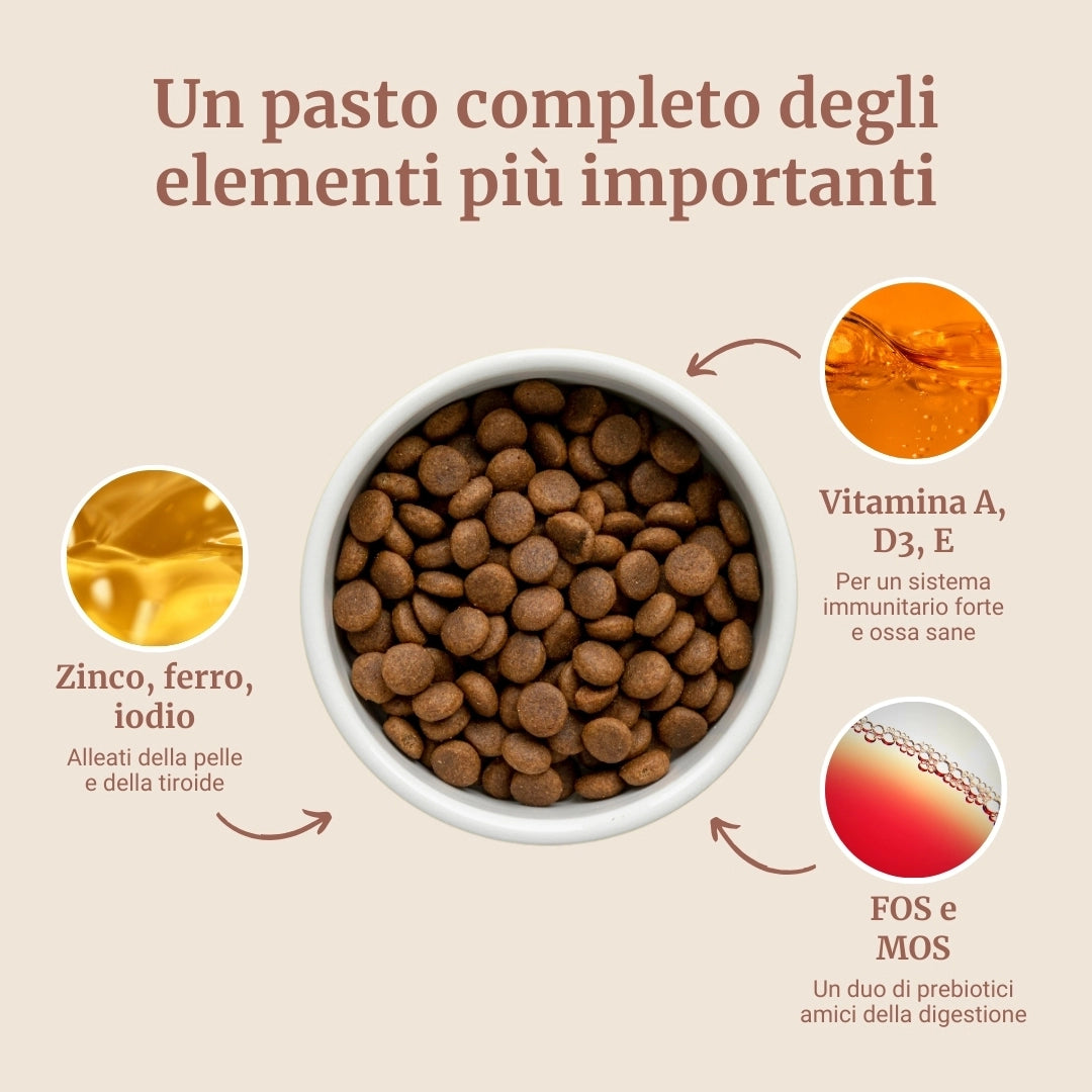 Crocchette con Pollo, Patate Dolci ed Erbe per cani adulti di taglia piccola