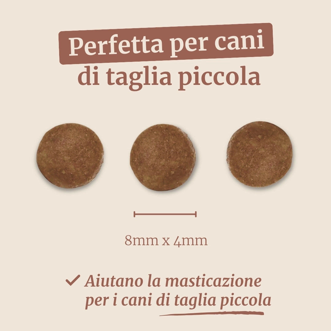Crocchette con Pollo, Patate Dolci ed Erbe per cani adulti di taglia piccola