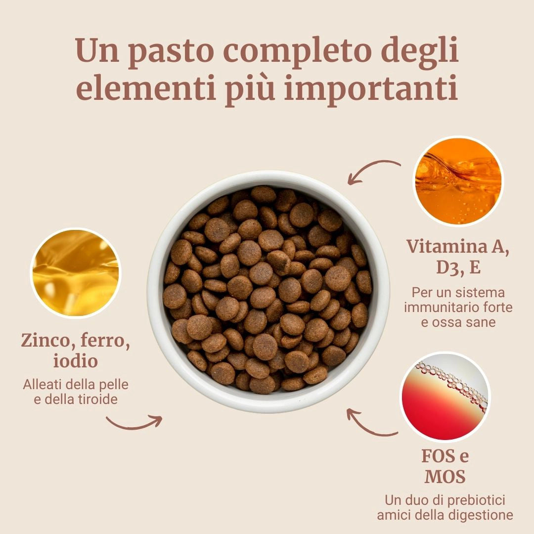 Crocchette con Pollo, Tacchino, Salmone, Patate Dolci e Carota per cani cuccioli di taglia media