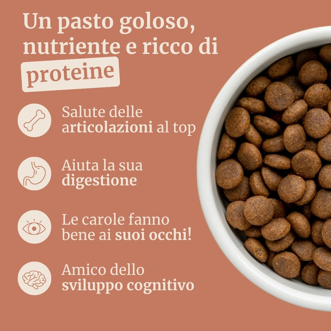 Crocchette con Pollo, Tacchino, Salmone, Patate Dolci e Carota per cani cuccioli di taglia media