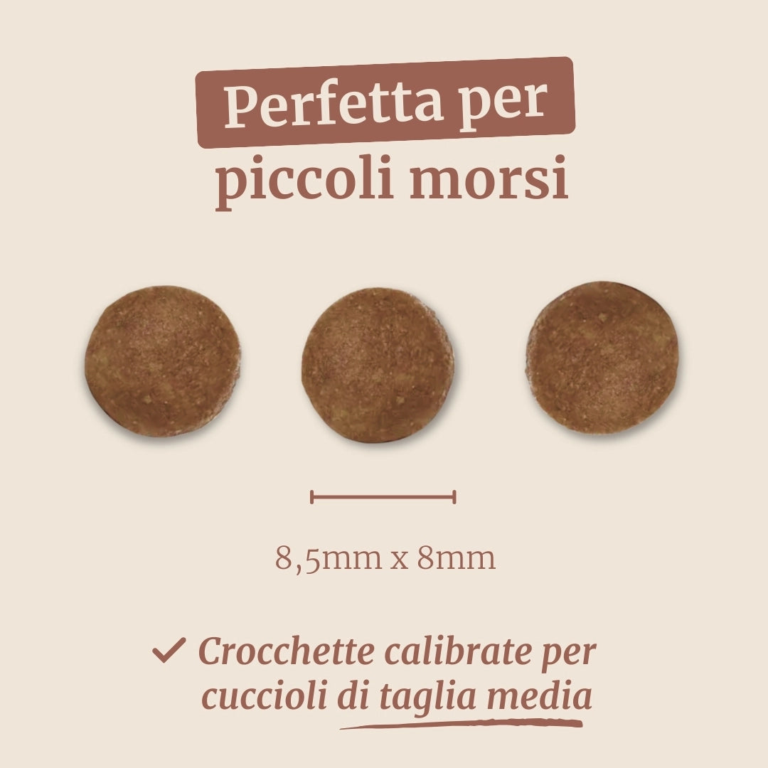 Crocchette con Pollo, Tacchino, Salmone, Patate Dolci e Carota per cani cuccioli di taglia media