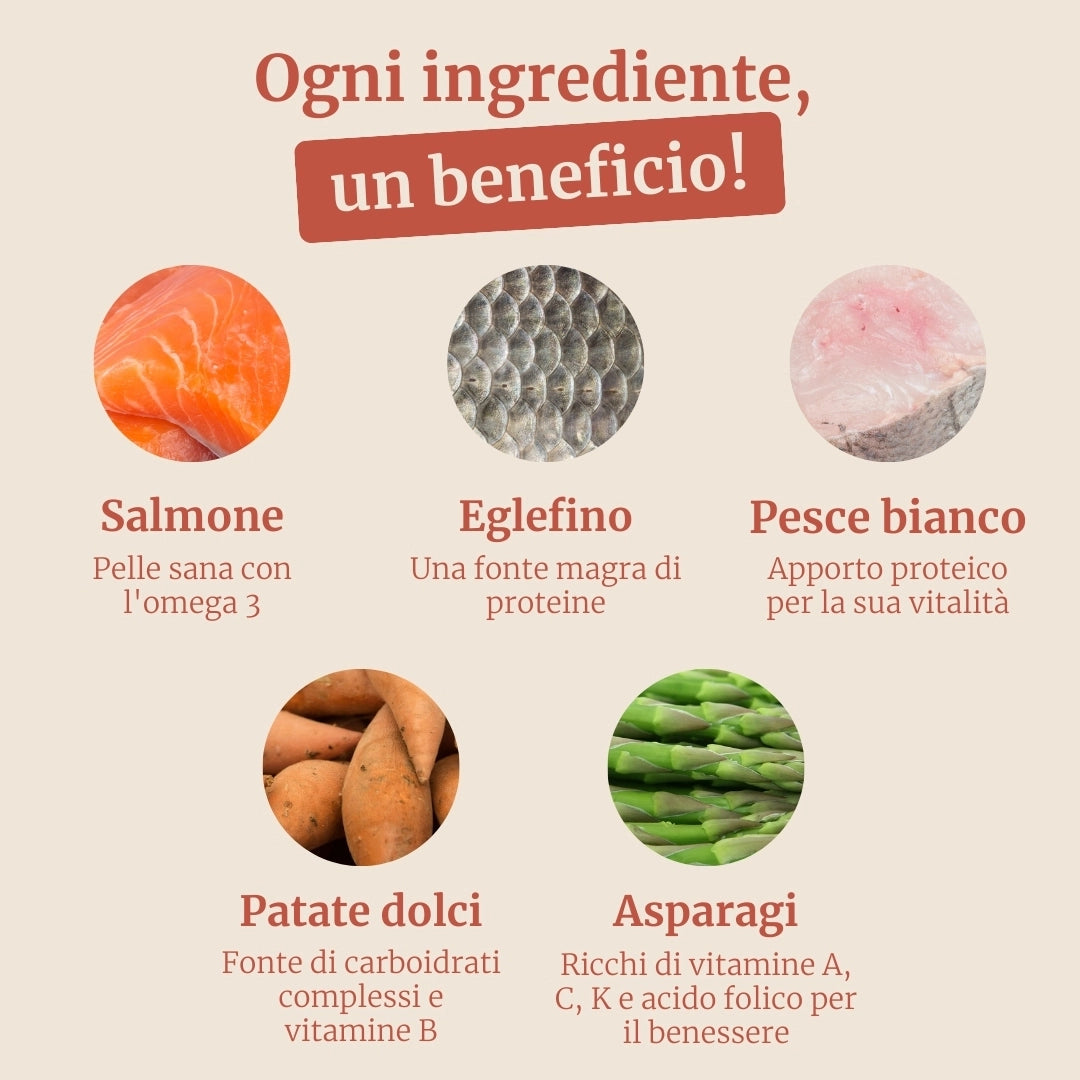 Crocchette con Salmone, Eglefino, Pesce Bianco, Patate Dolci e Asparagi per cani cuccioli di taglia media