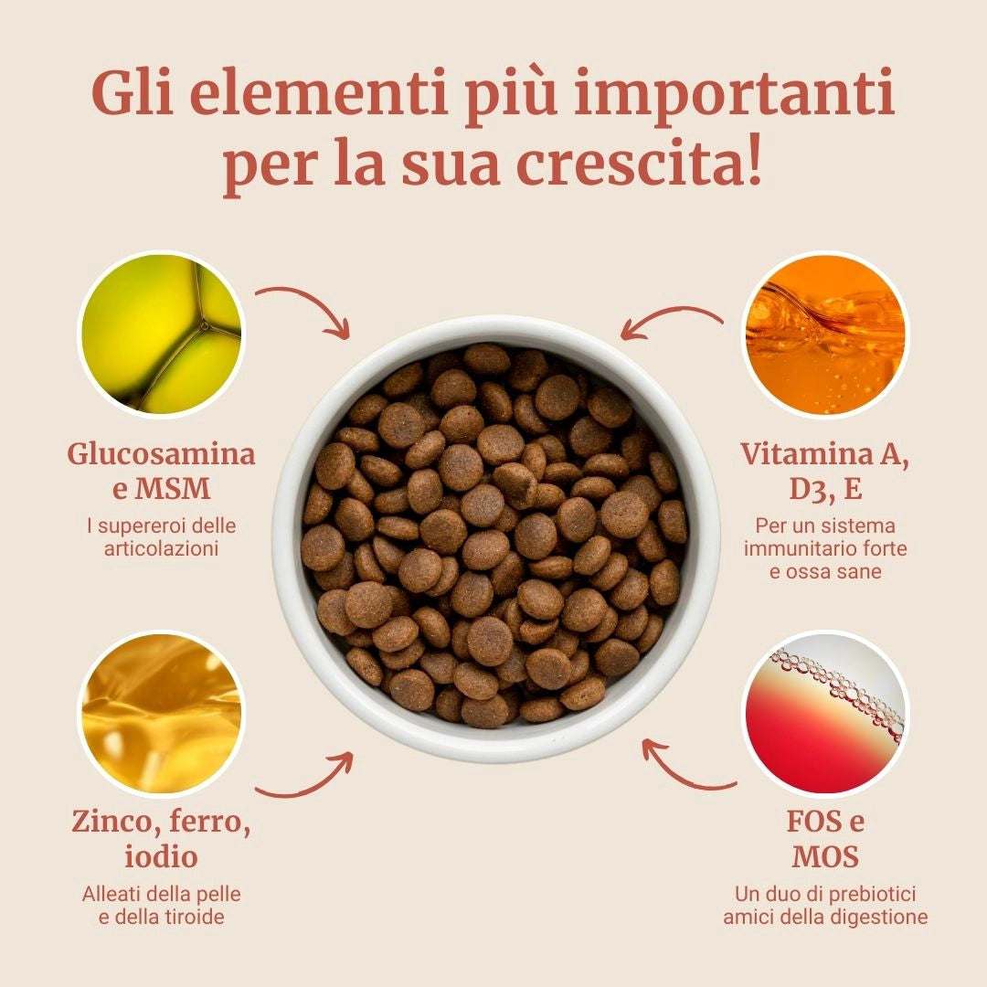 Crocchette con Salmone, Eglefino, Pesce Bianco, Patate Dolci e Asparagi per cani cuccioli di taglia media